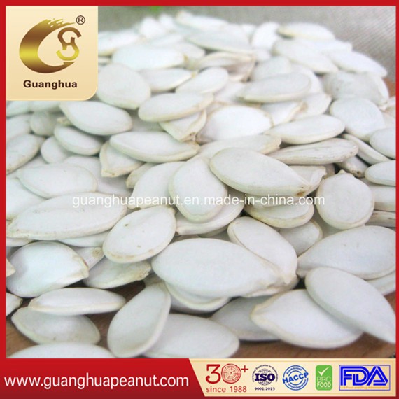 New Crop Pumpkin Seeds 2025 From China