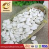 New Crop Pumpkin Seeds 2025 From China