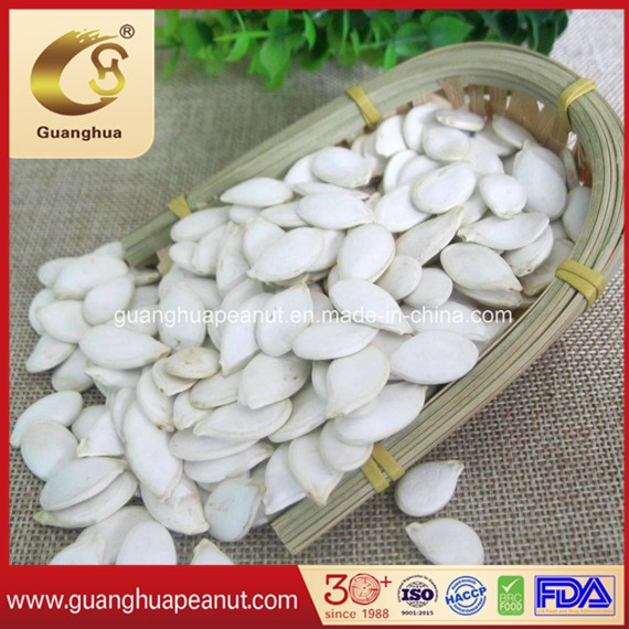 New Crop Pumpkin Seeds 2025 From China
