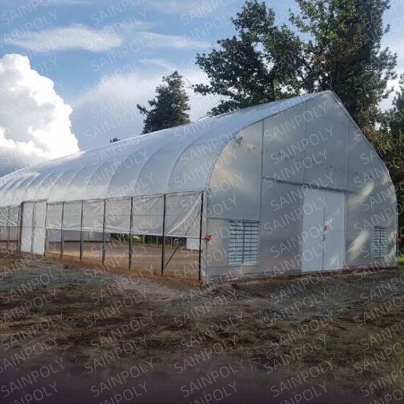 Small Automatic Single-Span for Commercial Tropical Agriculture Tunnel Greenhouse
