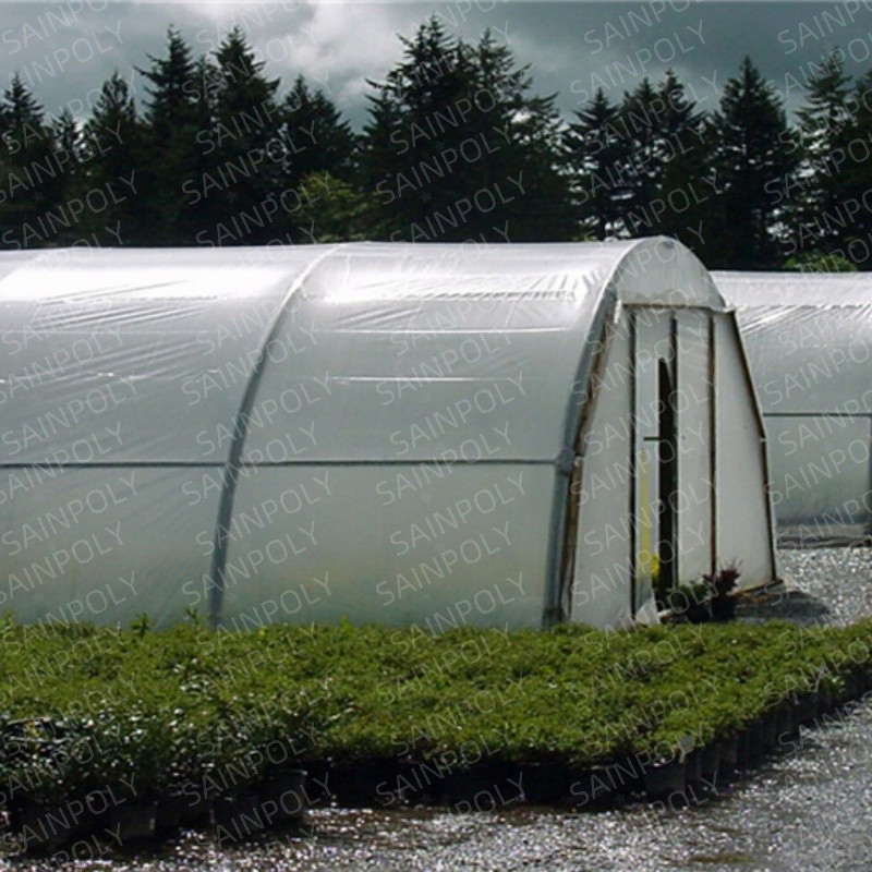Small Automatic Single-Span for Commercial Tropical Agriculture Tunnel Greenhouse
