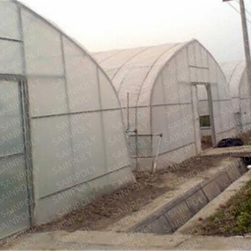 Small Automatic Single-Span for Commercial Tropical Agriculture Tunnel Greenhouse