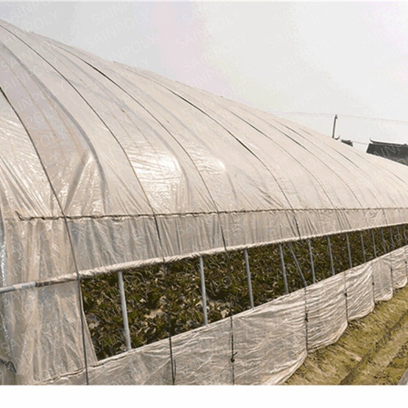 Small Automatic Single-Span for Commercial Tropical Agriculture Tunnel Greenhouse