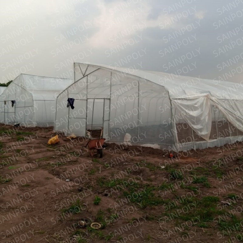 Small Automatic Single-Span for Commercial Tropical Agriculture Tunnel Greenhouse