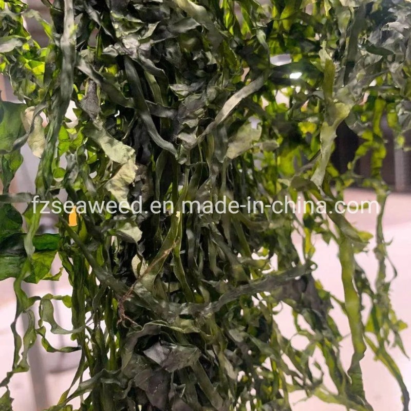 Natural Seaweed Sliced Sea Kelp Dried Laminaria for Russia