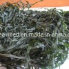 Natural Seaweed Sliced Sea Kelp Dried Laminaria for Russia