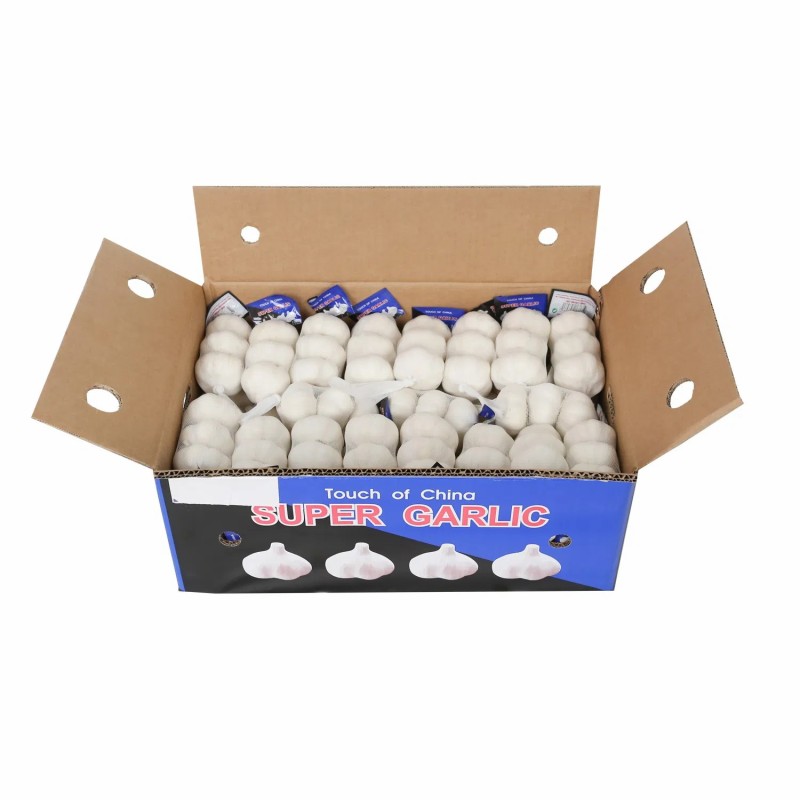 New Crop Good Quality Chinese Fresh White Garlic