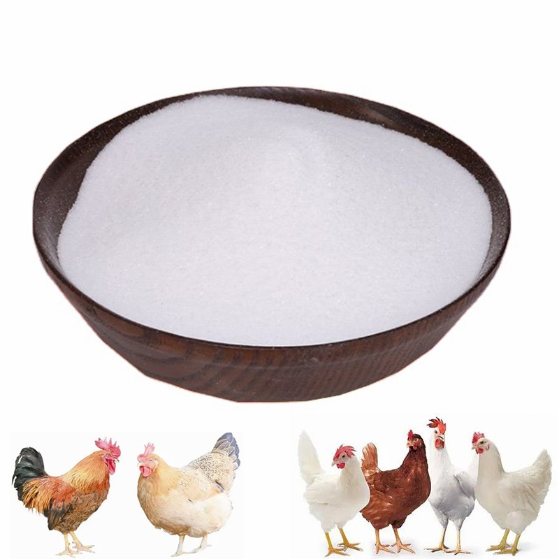 Feed Addtives Feed Grade Anhydrous Betaine /Glycine Betaine for Poultry