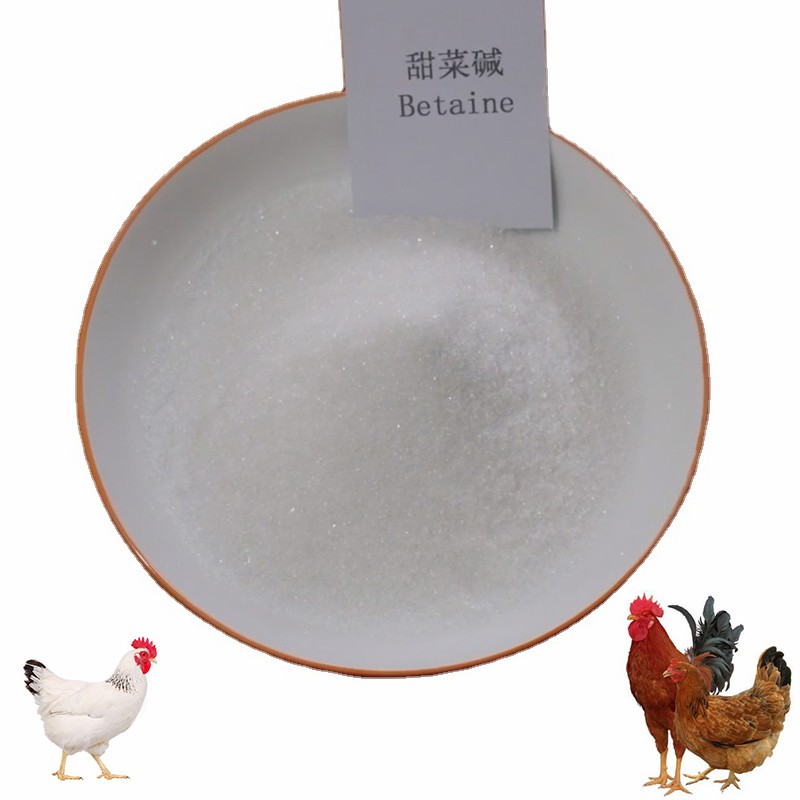 Feed Addtives Feed Grade Anhydrous Betaine /Glycine Betaine for Poultry