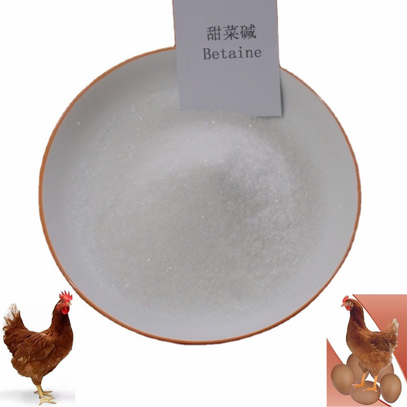 Feed Addtives Feed Grade Anhydrous Betaine /Glycine Betaine for Poultry