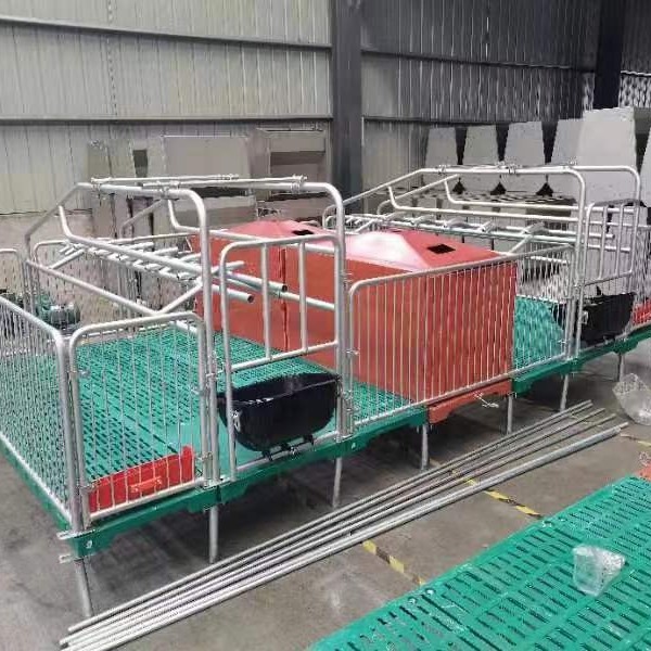 Livestock Husbandry Equipment Pig Farming Cages Fence Crate