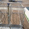 Livestock Husbandry Equipment Pig Farming Cages Fence Crate