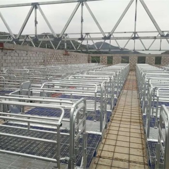 Livestock Husbandry Equipment Pig Farming Cages Fence Crate