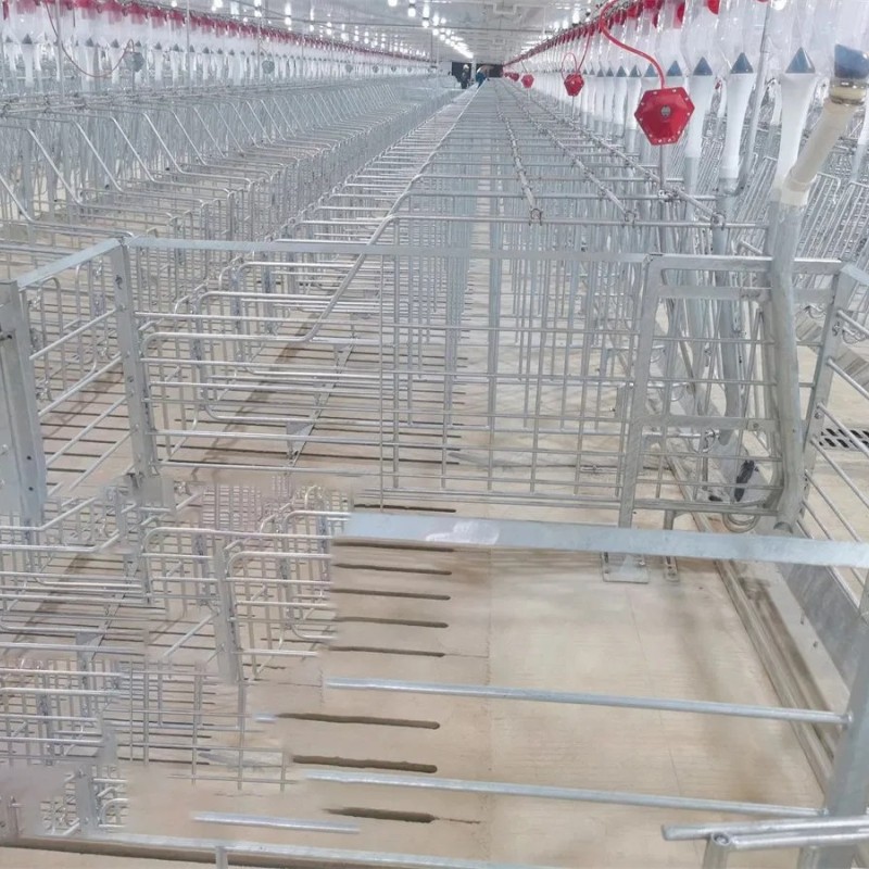 Livestock Husbandry Equipment Pig Farming Cages Fence Crate