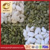 Export Standard Shine Skin Pumpkin Seeds Crop 2023