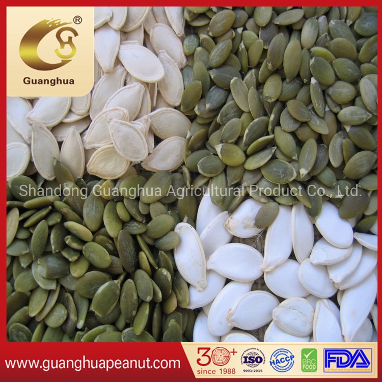 Export Standard Shine Skin Pumpkin Seeds Crop 2023