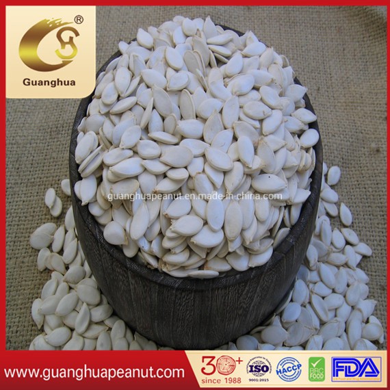 Export Standard Shine Skin Pumpkin Seeds Crop 2023