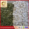 Export Standard Shine Skin Pumpkin Seeds Crop 2023