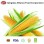 Freshly Harvested IQF Frozen Sweet Corn Cobs - Sourced From China