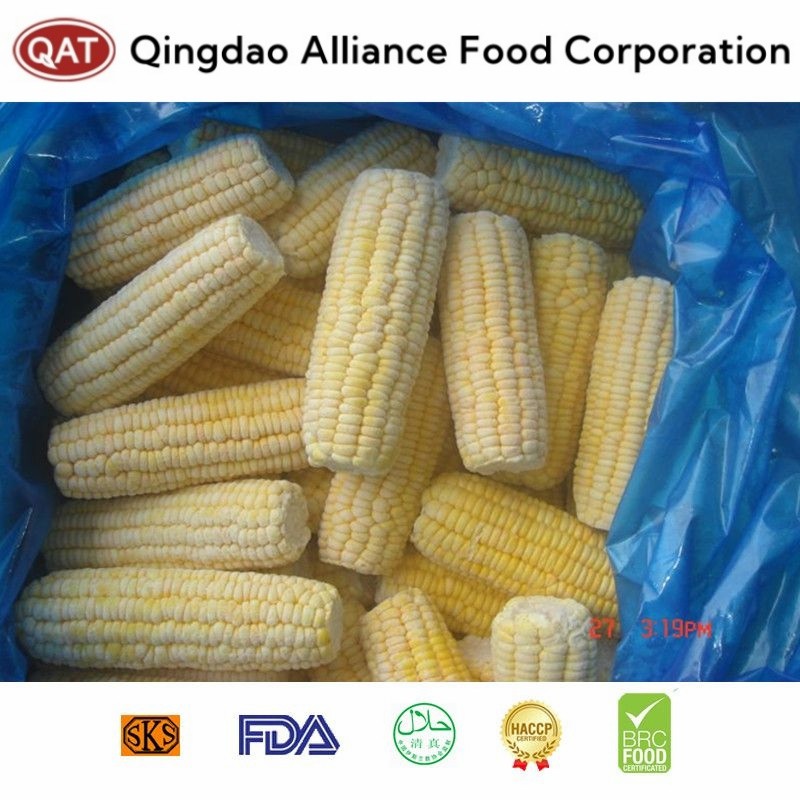 Freshly Harvested IQF Frozen Sweet Corn Cobs - Sourced From China