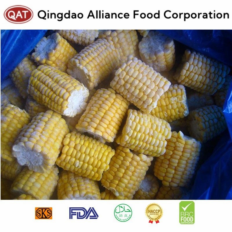 Freshly Harvested IQF Frozen Sweet Corn Cobs - Sourced From China