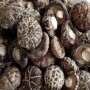 Wholesale High Quality Dried Shiitake Mushrooms