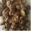 Wholesale High Quality Dried Shiitake Mushrooms