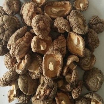Wholesale High Quality Dried Shiitake Mushrooms
