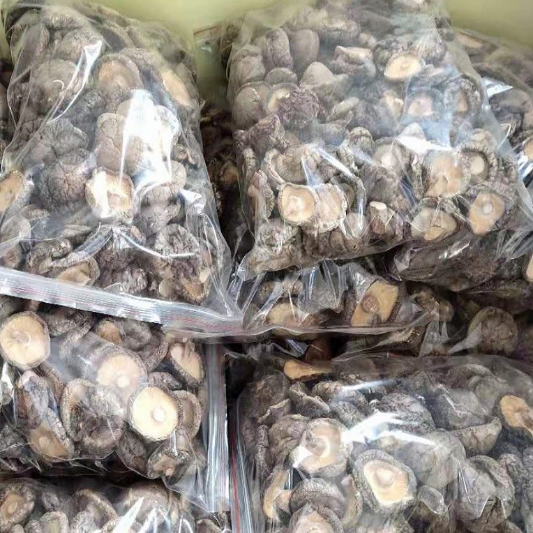Wholesale High Quality Dried Shiitake Mushrooms