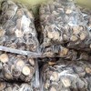 Wholesale High Quality Dried Shiitake Mushrooms