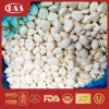 Factory Supply with Best Price IQF Frozen Garlic Cloves Bulk