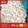 Factory Supply with Best Price IQF Frozen Garlic Cloves Bulk