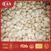 Factory Supply with Best Price IQF Frozen Garlic Cloves Bulk