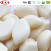 Factory Supply with Best Price IQF Frozen Garlic Cloves Bulk
