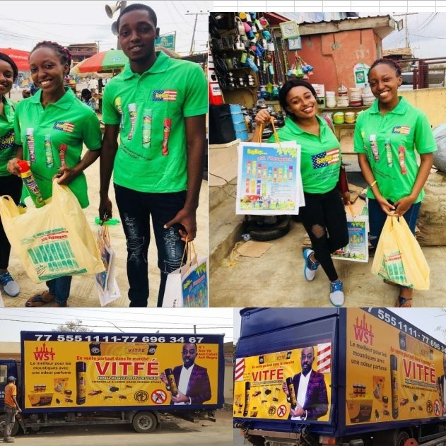 Africa Strong Effective Winged Insect Cockroach Spray Insecticide