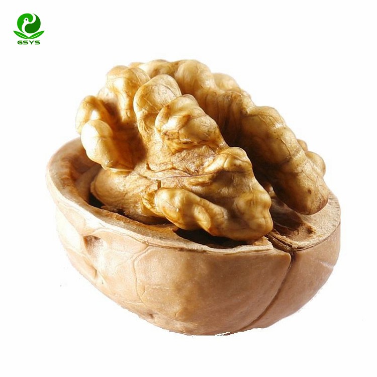 Xinjiang Supreme Walnut Kernels, Cultivated in The Rich Soils of