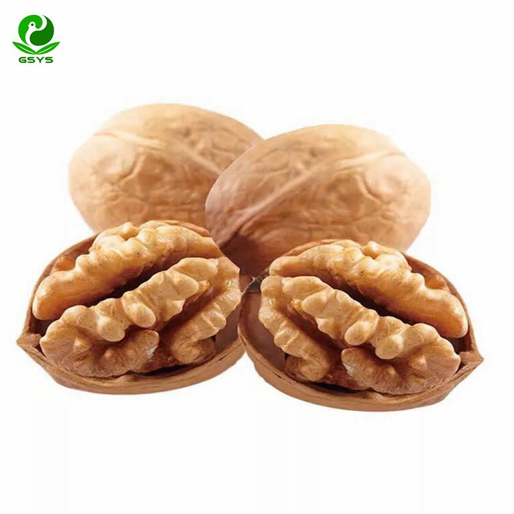 Xinjiang Supreme Walnut Kernels, Cultivated in The Rich Soils of
