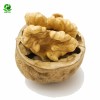 Xinjiang Supreme Walnut Kernels, Cultivated in The Rich Soils of