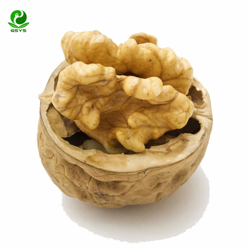 Xinjiang Supreme Walnut Kernels, Cultivated in The Rich Soils of