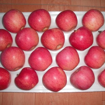 2024 High Quality New Crop Fresh Qinguan Dallo FUJI Gala Huaniu Apple Garlic Giner