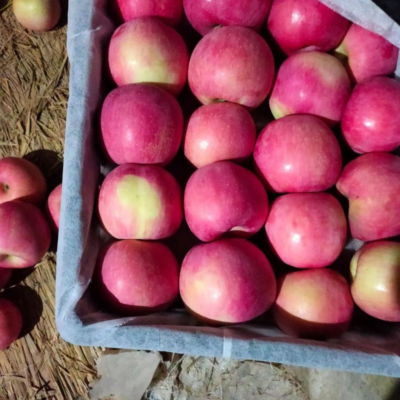 2024 High Quality New Crop Fresh Qinguan Dallo FUJI Gala Huaniu Apple Garlic Giner