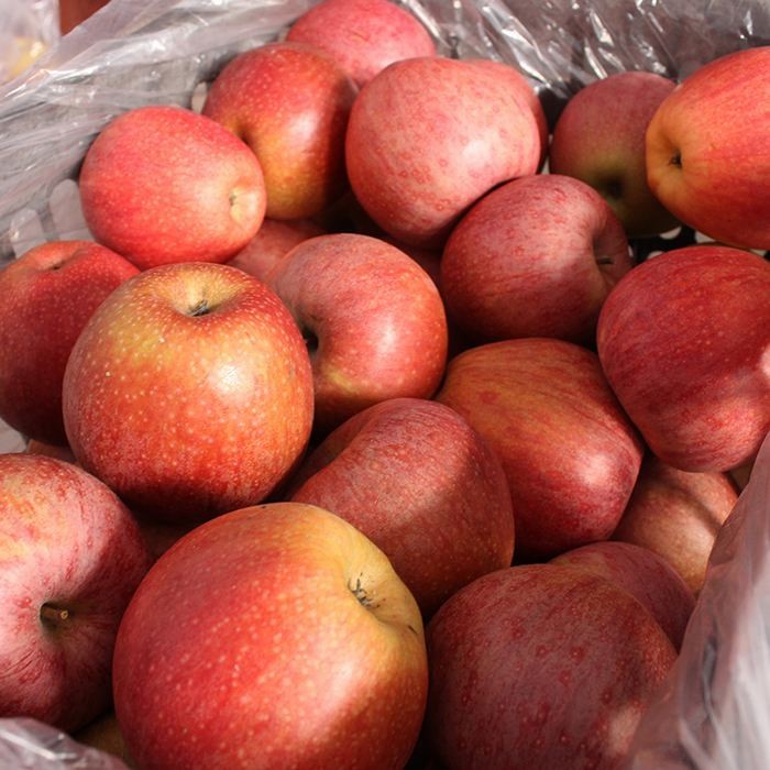 2024 High Quality New Crop Fresh Qinguan Dallo FUJI Gala Huaniu Apple Garlic Giner