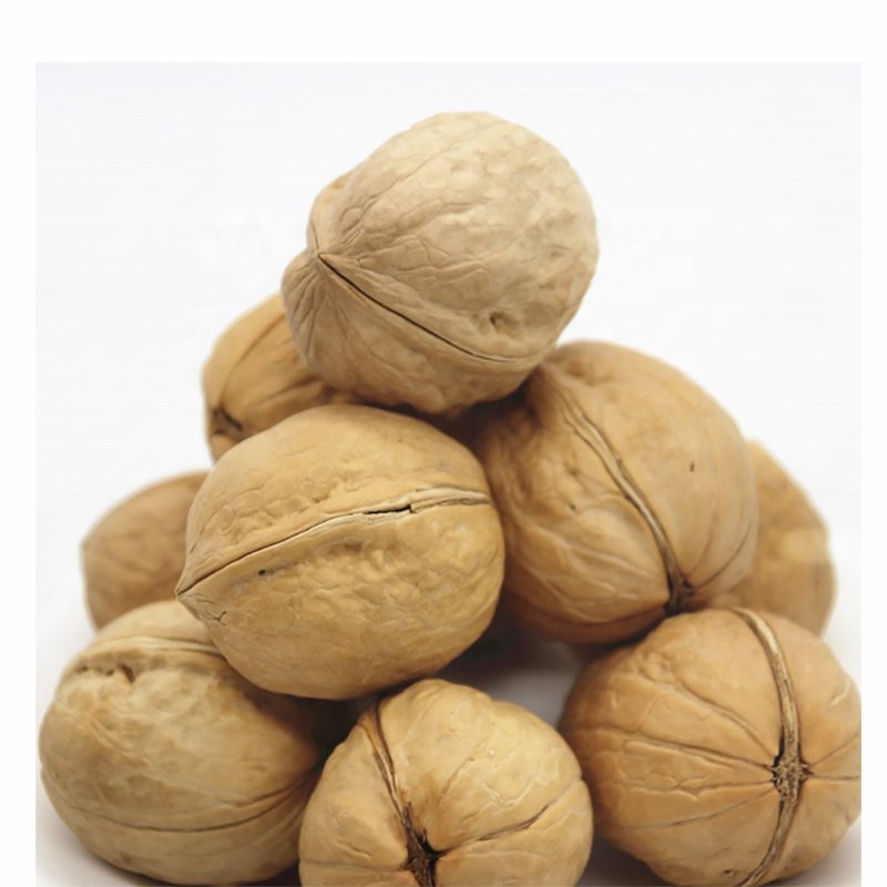 Dried Raw Walnuts in Shell 185 with Paper Shell