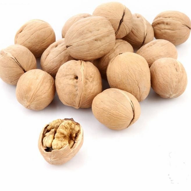 Dried Raw Walnuts in Shell 185 with Paper Shell
