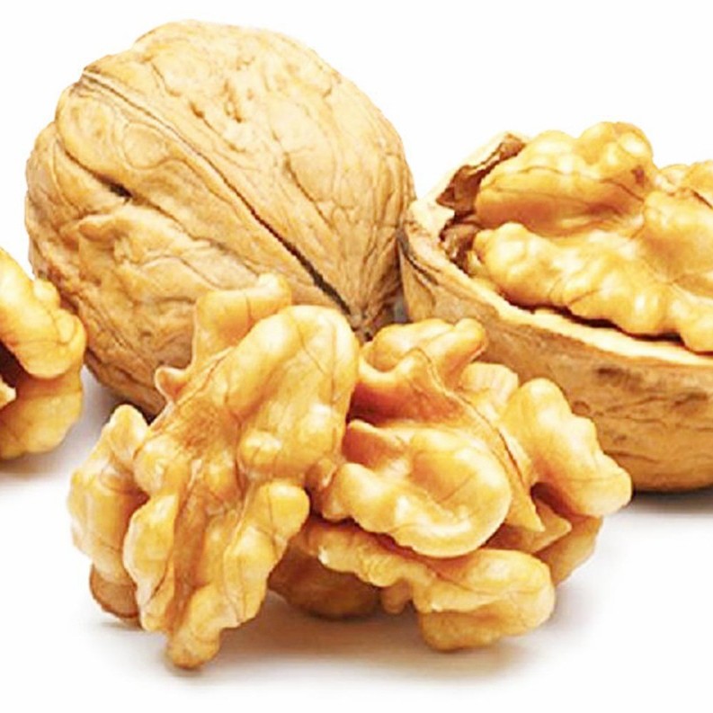 Dried Raw Walnuts in Shell 185 with Paper Shell