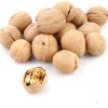 Dried Raw Walnuts in Shell 185 with Paper Shell