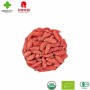 Air Dried Goji Berries for Natural Energy and Wellness