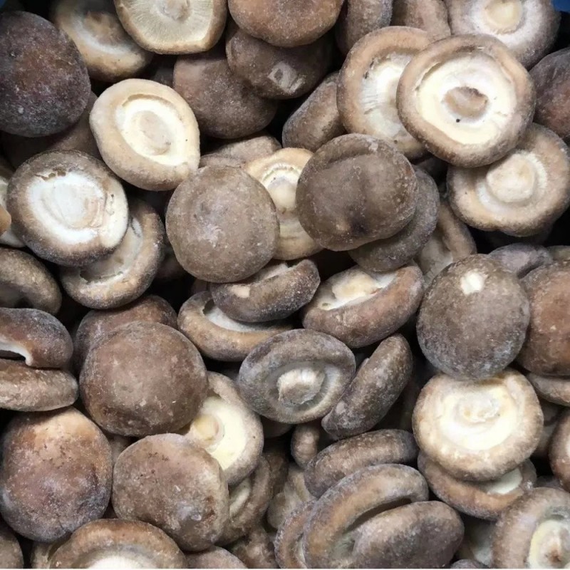 IQF Frozen Shiitake Whole Frozen Cultivated Mushroom