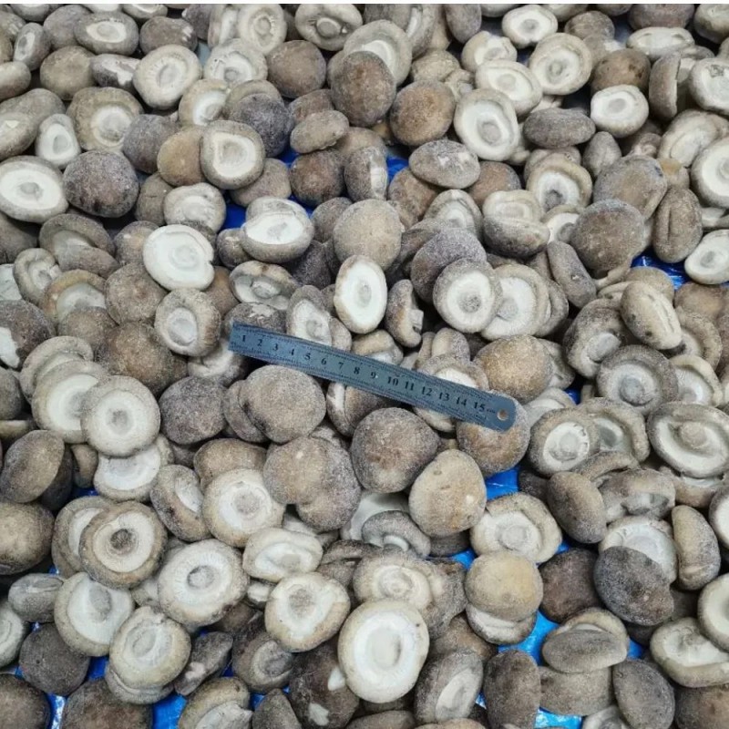 IQF Frozen Shiitake Whole Frozen Cultivated Mushroom