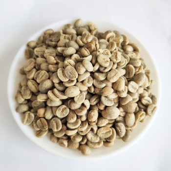 Export High Quality Arabica Green Coffee Beans